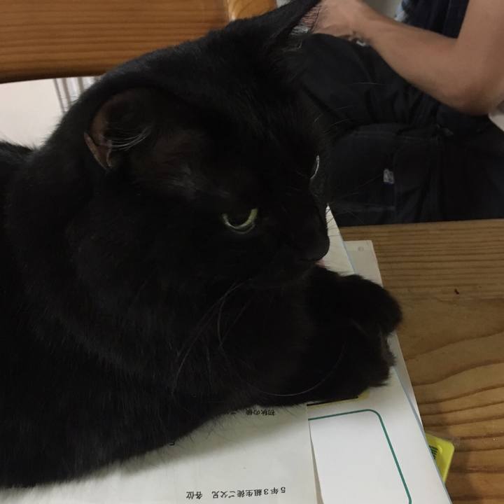 152aee1b 86ae 4faf 8a76 27516f783fd1