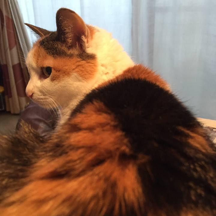 152b2f40 0f69 470c a7fe bd9420d0e9fd