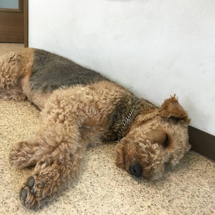 152b7833 2eb5 40b9 8800 be7273064225