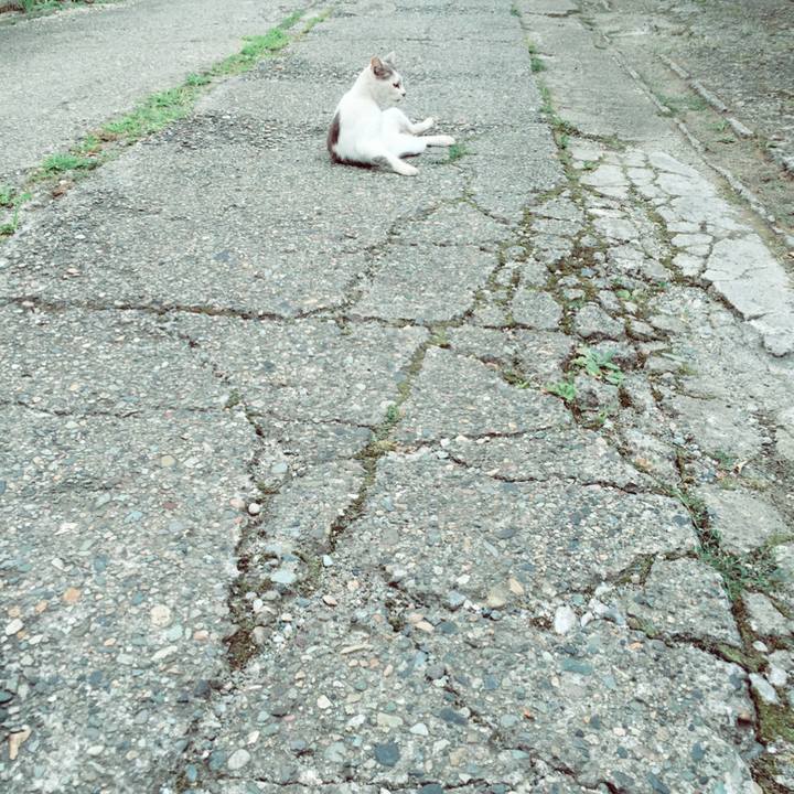 152bd027 ae8b 4413 b2bc 1d7672b14ee3