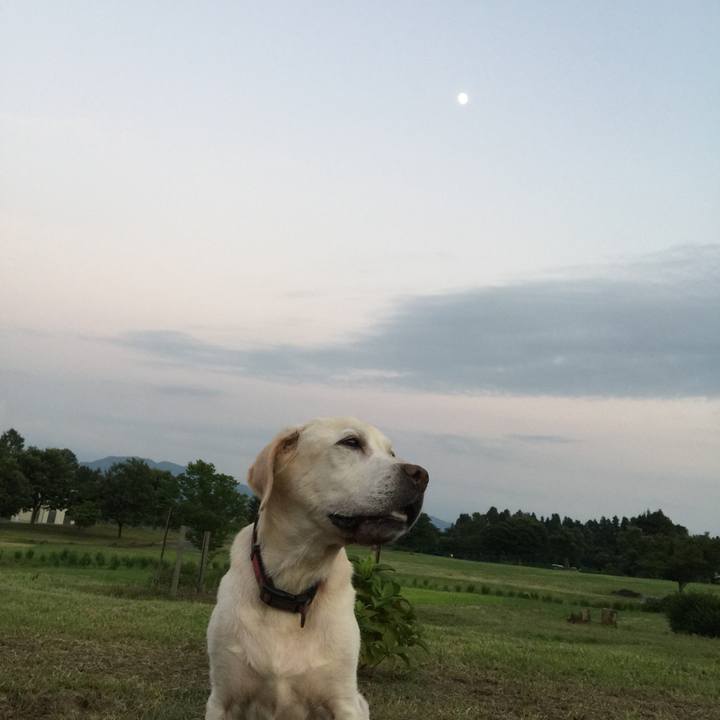 152bf26f ad0f 4178 acd4 6adbfb32097e