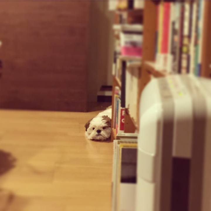 152c2e5c 9975 4182 958d 5ef7a8296944