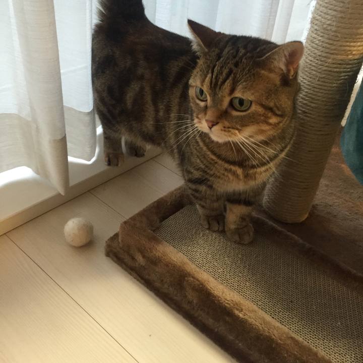 152c6089 e315 4246 874b eb52cb287b5e