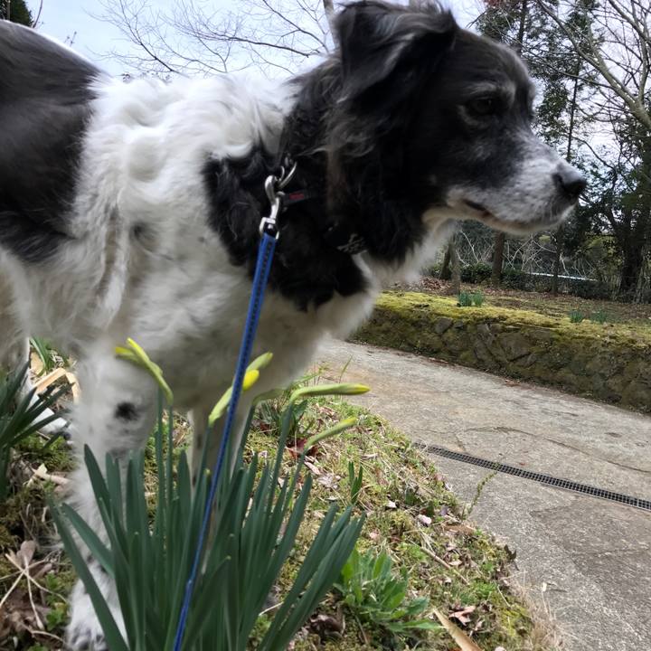 152c848c 3daa 4add b7d9 9e729df73860