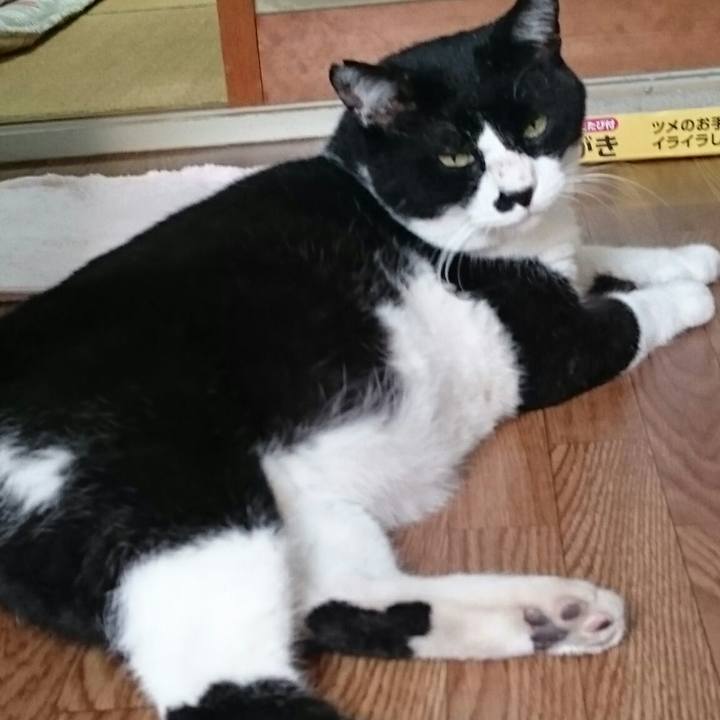 152cb1f0 1e64 4800 89ba a9a0b3db132e