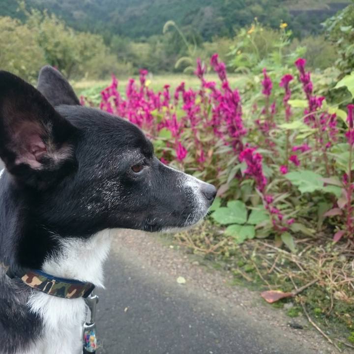 152cc3ba 5d80 4f00 b740 1bcee1183414