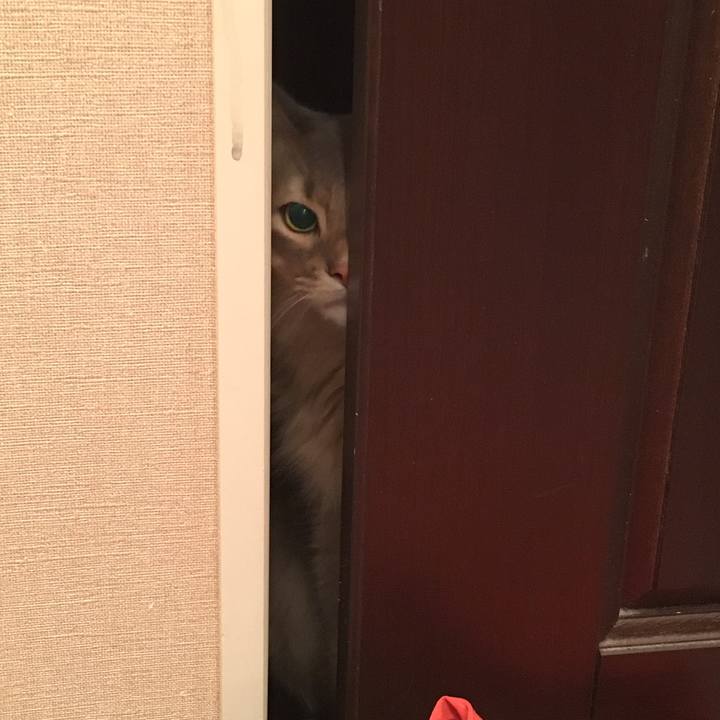 152cfa3d a773 4195 ab63 5b5abf86edc6