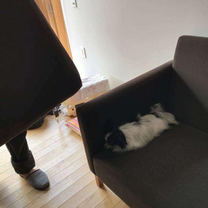 152de81a 887e 4378 b798 c41131c9fda2