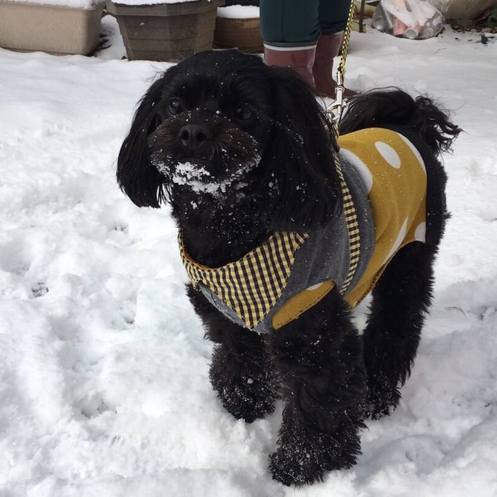 152e08e8 1e66 40d0 bb79 f5edddce83d2