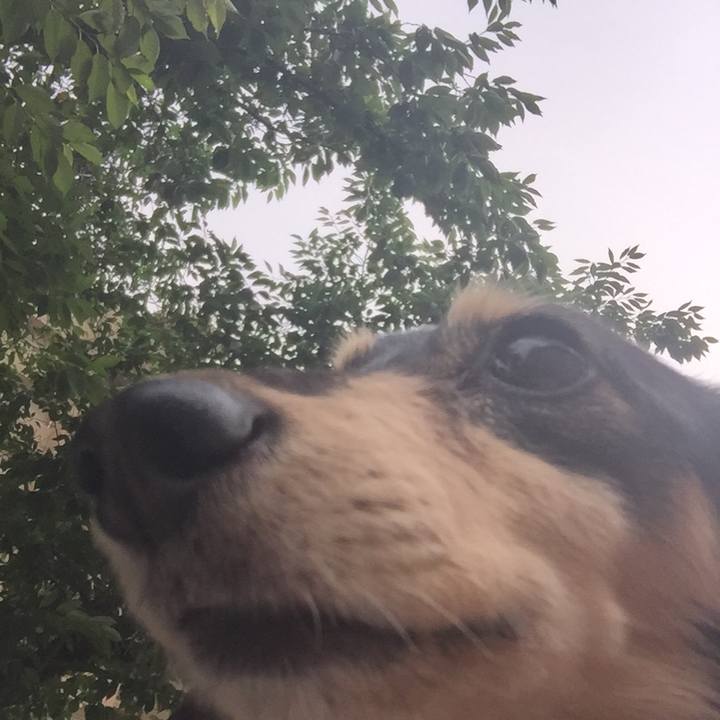 152e4068 7924 4e18 a20c a8b34e0e7f0b