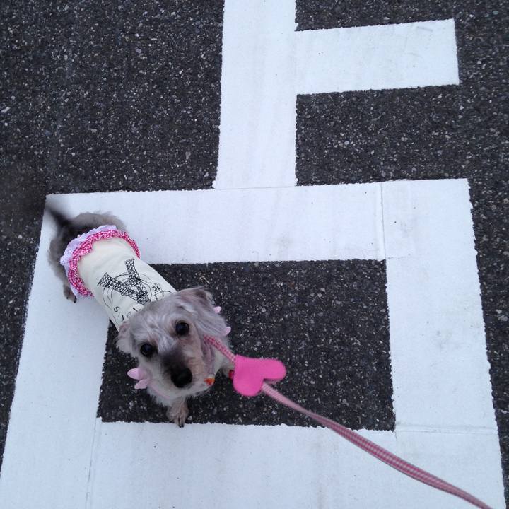 152e456b cee6 47b7 8317 e8cc560f4211