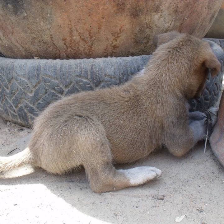 152f2f5d 2086 49b6 af5a 9f4c835357d1