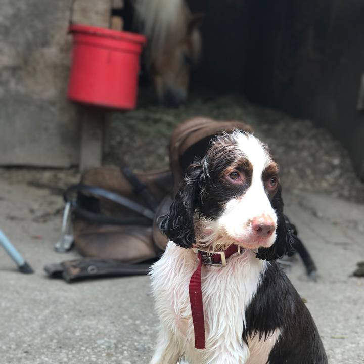 152f449f c985 4a6b b7e4 3fe1750dff3f