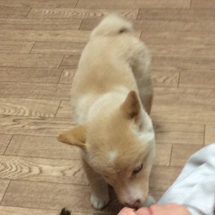 152fbcbf d27e 4a50 a578 2b7b48863bae