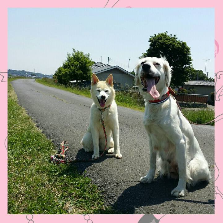 15307112 4207 48d8 abf4 3adf73b38227