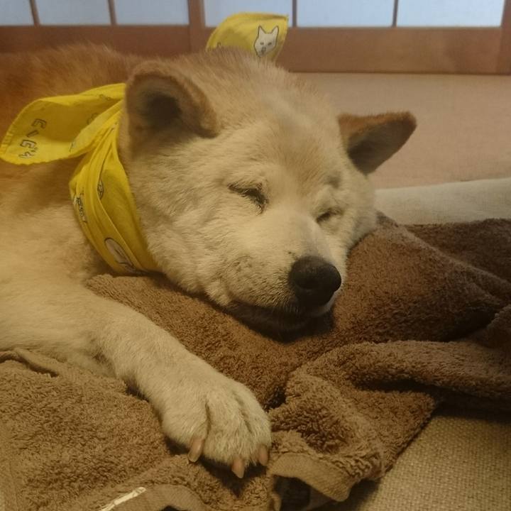 15307386 ef2e 427d bc91 3ed497b7061d