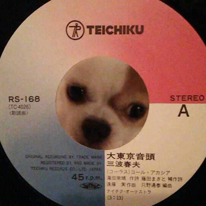 15309992 f47b 4769 99bb a4f544f3ea97