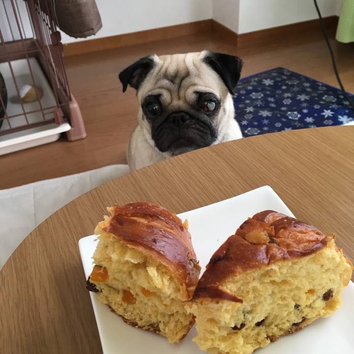 15309fa5 9b52 4187 8715 0be5c5e7f301