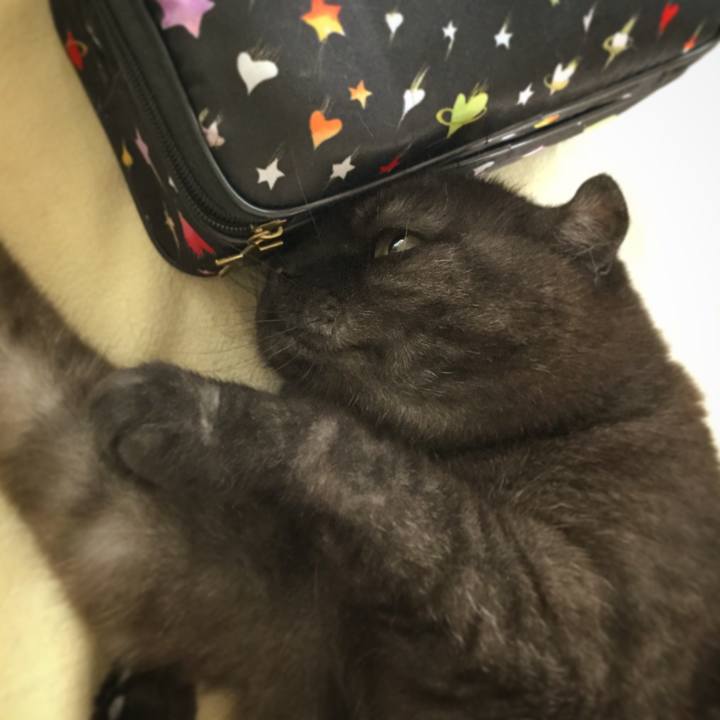 1530ef6f 3586 46ae a6fa f6cd22ac66ce