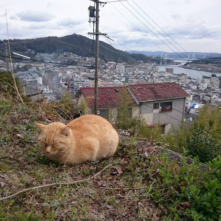 1530efbb 8a27 4e80 8e7f 25132276be8e