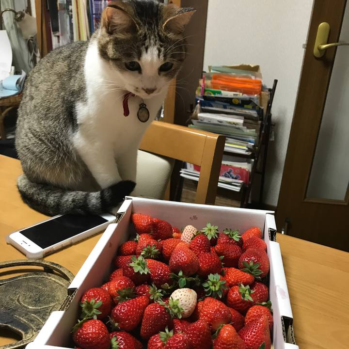 15316fb3 4f4b 482a 9218 f63dc947635d