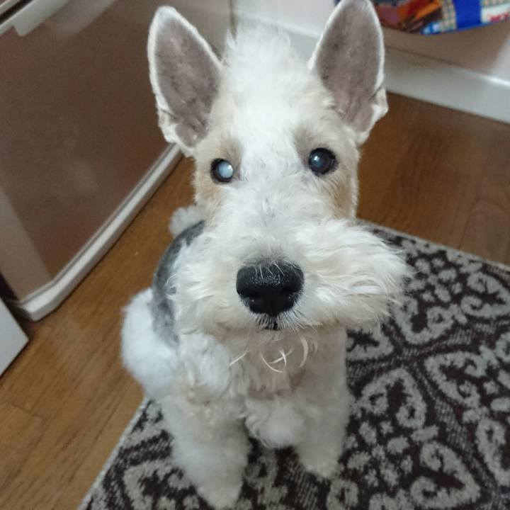 153180ec 47fd 4b85 b42e 4ff2bf7a2c9f