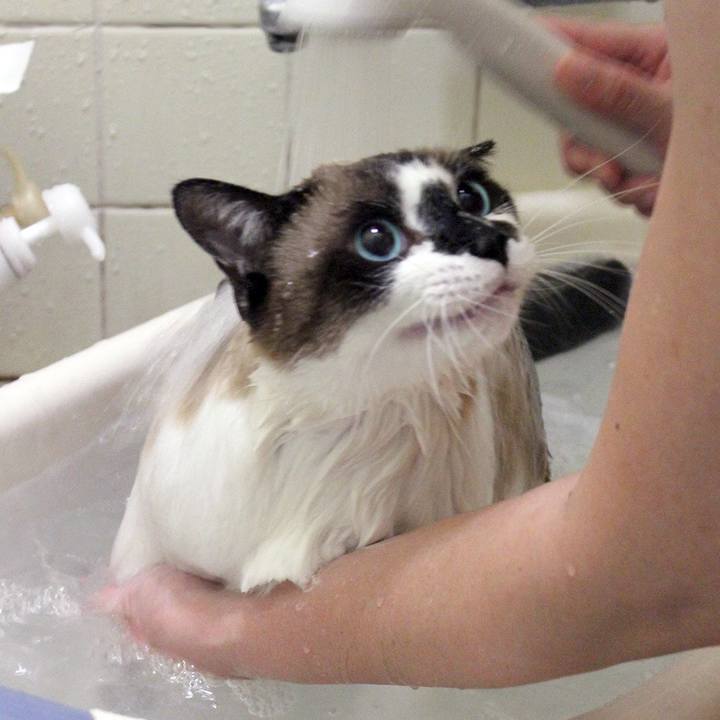 1531dc28 e84c 48b5 bb7a 85aadbea49aa