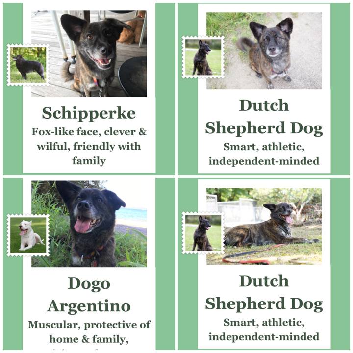 1531ec1a cb72 4a44 81c5 f06aa5e3ed75