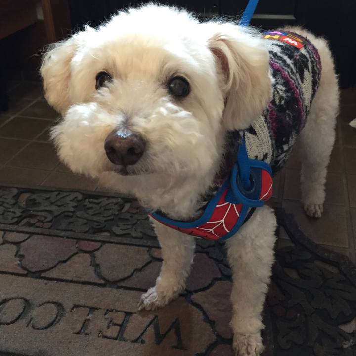 1531fe64 30f3 4248 a43e 3e52c6fdb04d