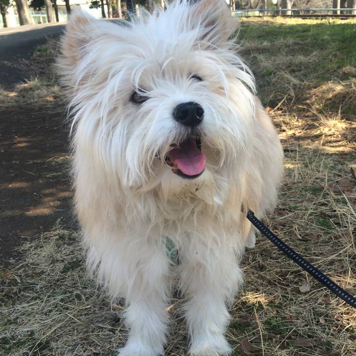 1532251d b5fb 40c5 ad24 2dadd340fdf2