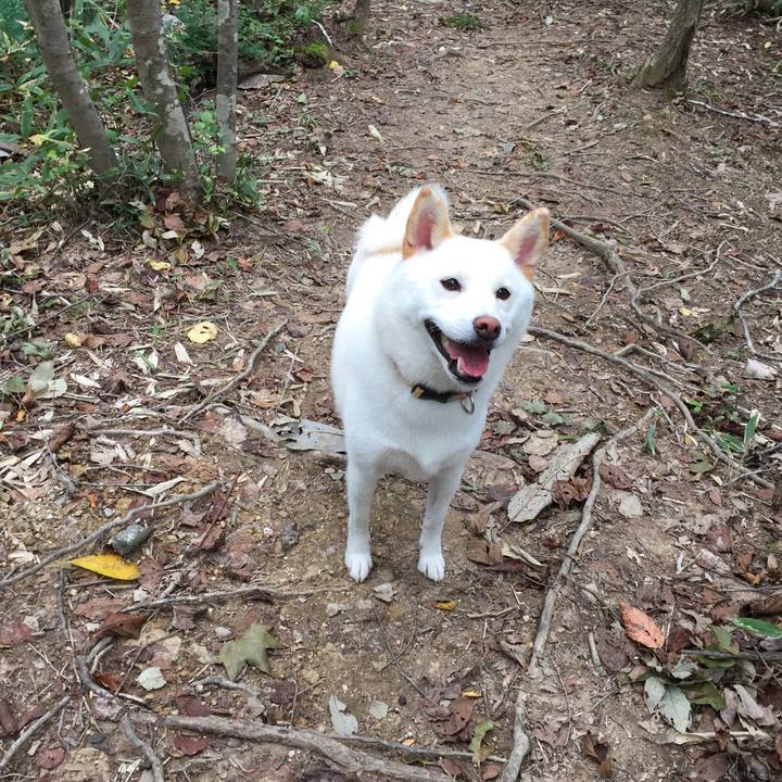 15329374 cff7 48f1 8370 a3a2e9177544