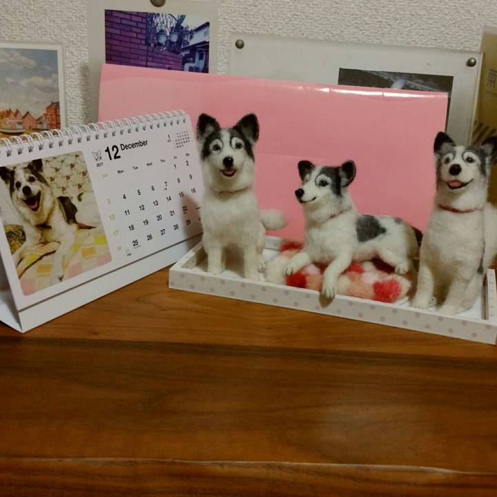 15329de3 7c1b 4e75 8328 c830d05b4a88