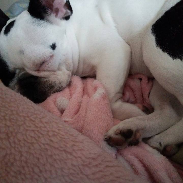 1532c558 db2f 472b 8494 3d7ffd685f49