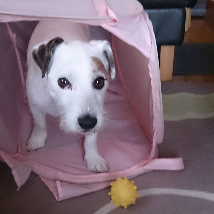 1532fe28 3f92 4426 b4cd f857b0e84342