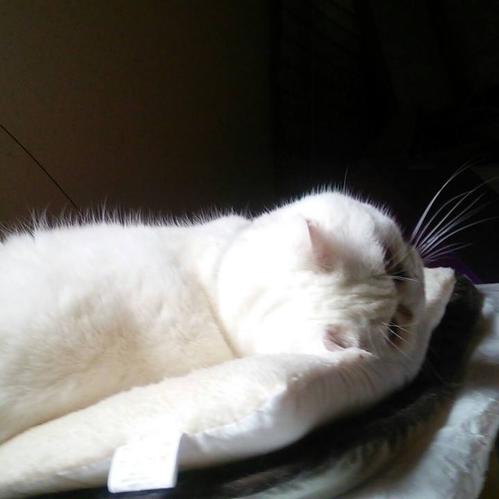 15330cb6 666a 4645 a432 97f54afd3b97