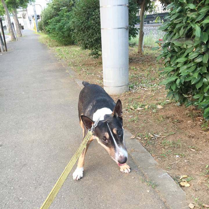 1533a02e d14c 4dba be5d 43f8550421bb