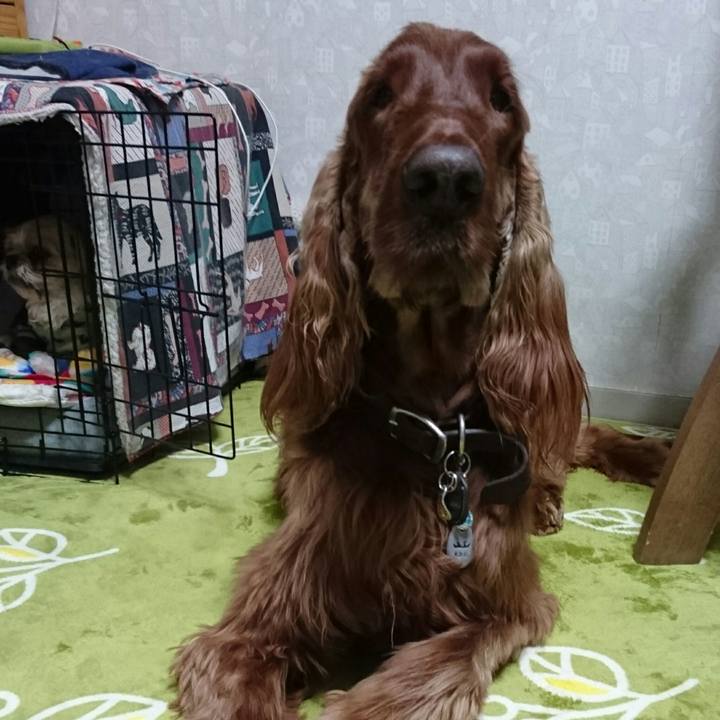 1533c3e9 9030 455d a2fb 378af63044f7