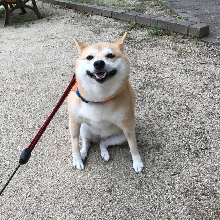 1533c5b8 da80 4d60 926d c12327b0fd50