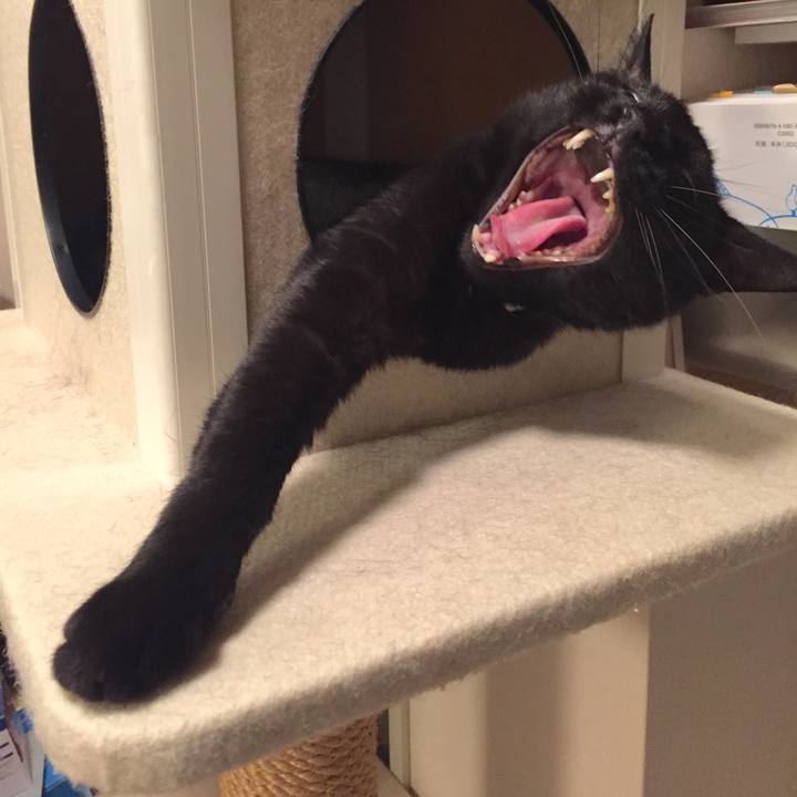 1533ec1a 742d 423b 98b2 51333d45b33c