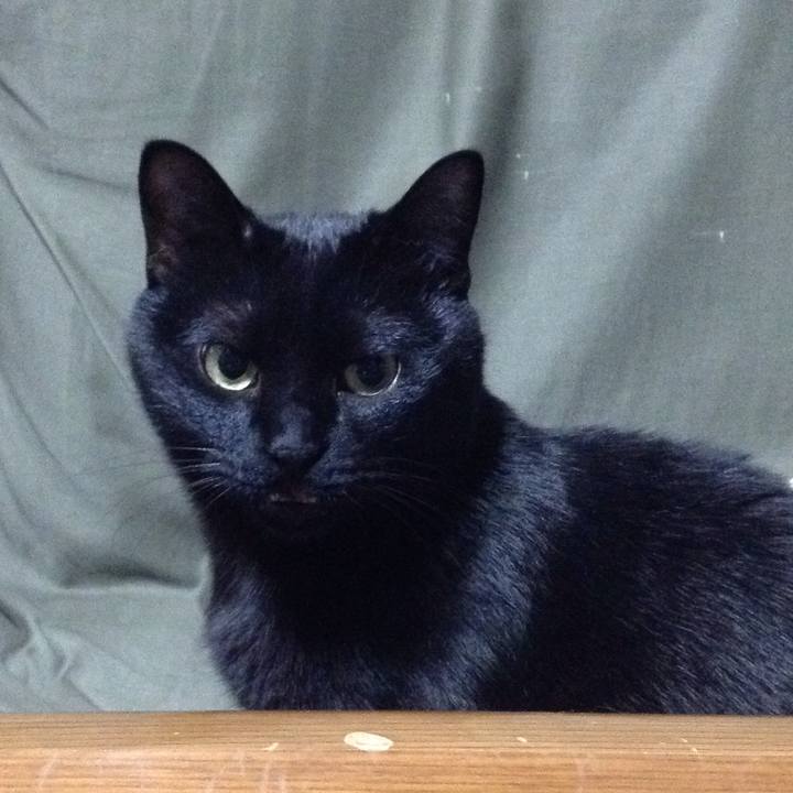 15343705 ef9d 4bc1 b7ed fd36abe45879