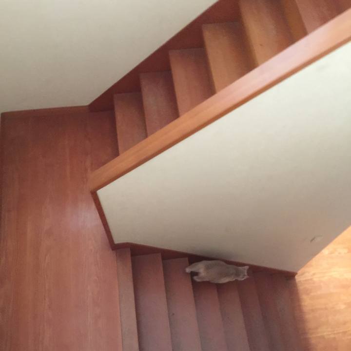 15348e6c b24e 4c87 9de2 1ec9b1379035