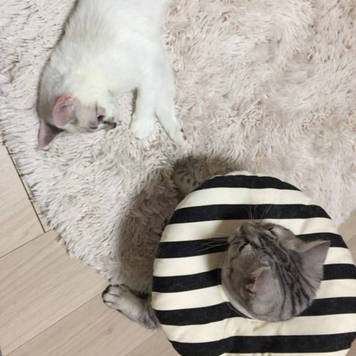 1534ba35 ca27 4bc5 bda3 e5862448ea02