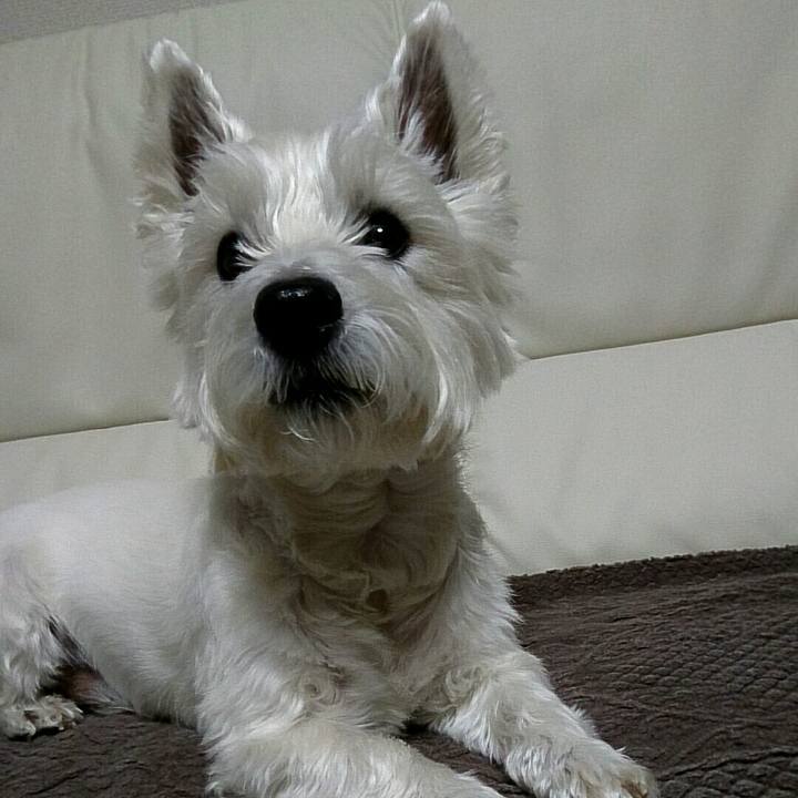 1534d2b7 2284 4370 b1d8 57e7bf8a11eb