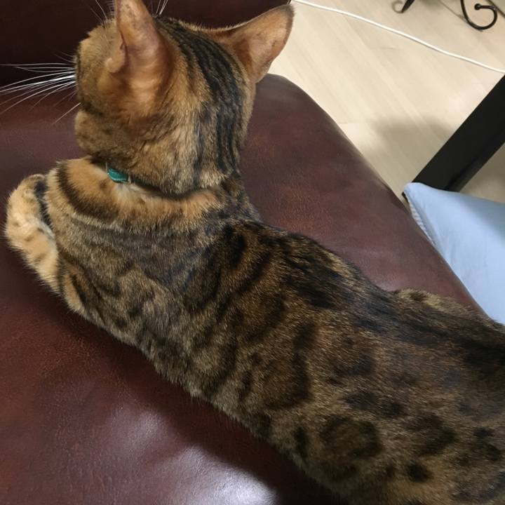 15351d38 2107 4a7d 9ed0 f1962e55dcb9