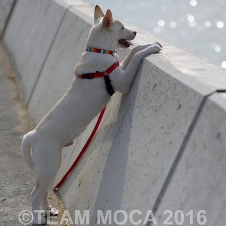 15352729 5b7e 4748 b4f1 aa731b50c3b4