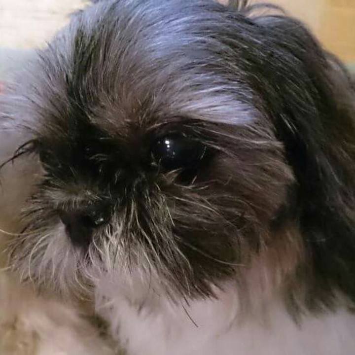 153580d0 2730 43c8 9f69 122fe4aff63b