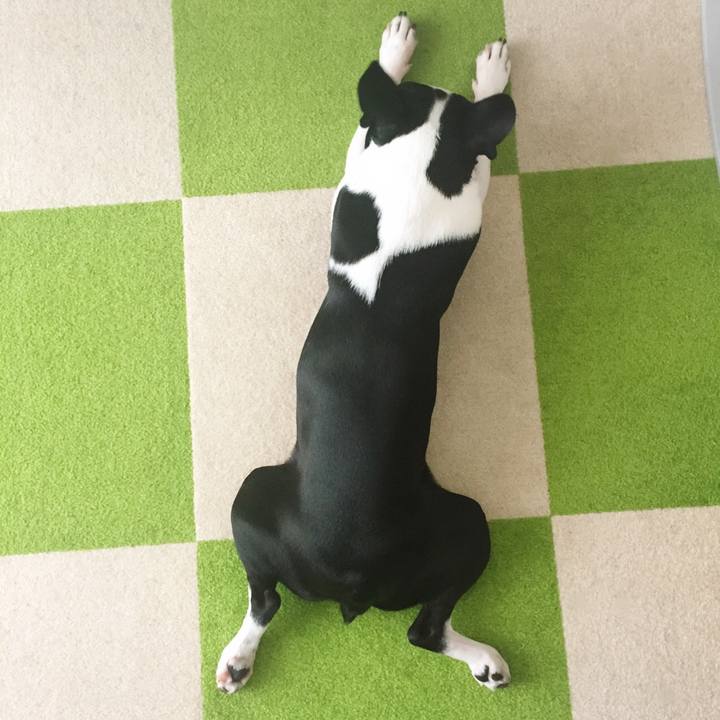 1535918a cdb2 4543 a1e6 993a50c71b7a