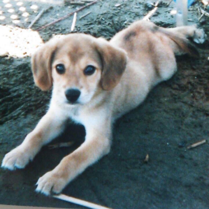 1535a138 9a68 4606 bb31 4f2dc60c40fd