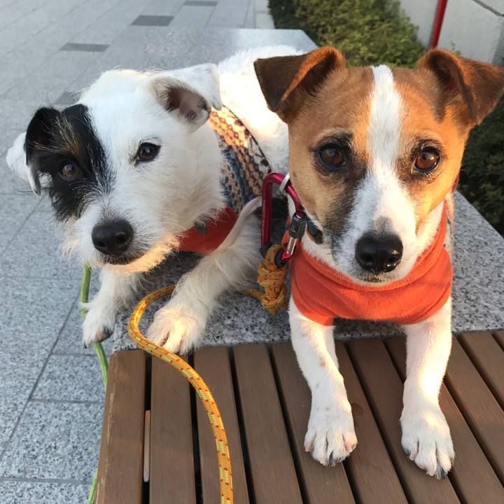 1535db07 2e35 48ab b3bd a09940385076