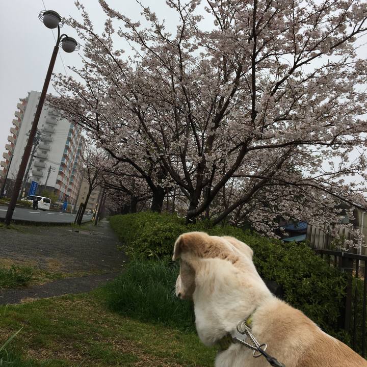 15367a8d f690 4441 ae60 358f47e5692c